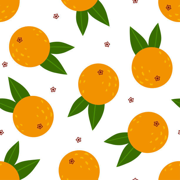 时尚橙子包装