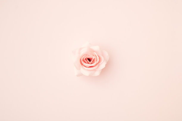 粉色浪漫温馨花纹背景
