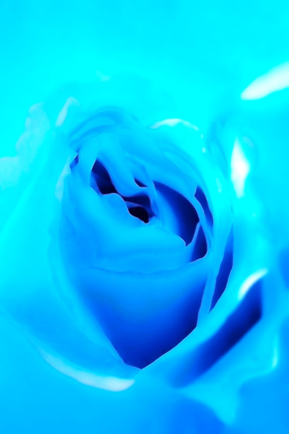 冰蓝玫瑰