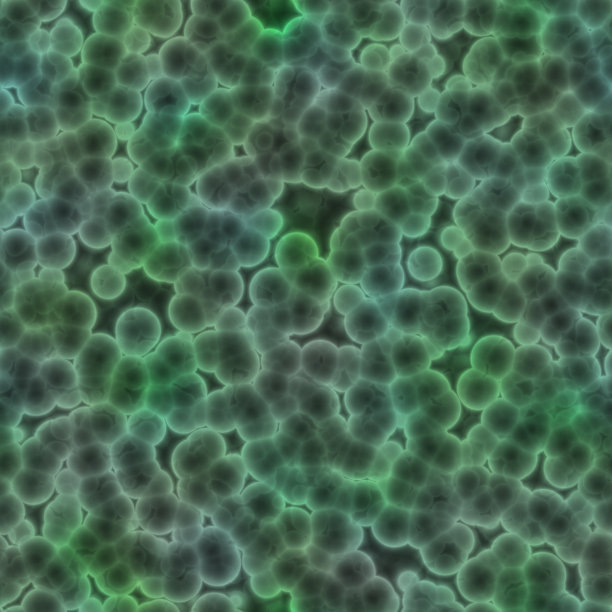 高分子细胞图片