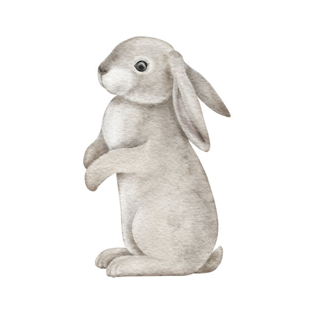 灰色兔子贴纸贺卡