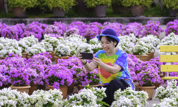 芭提雅东芭乐园