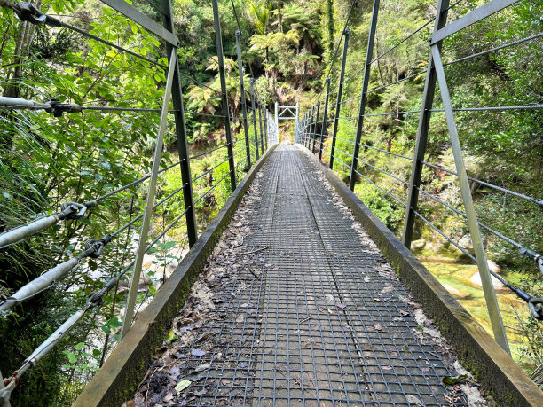 水杉林栈道