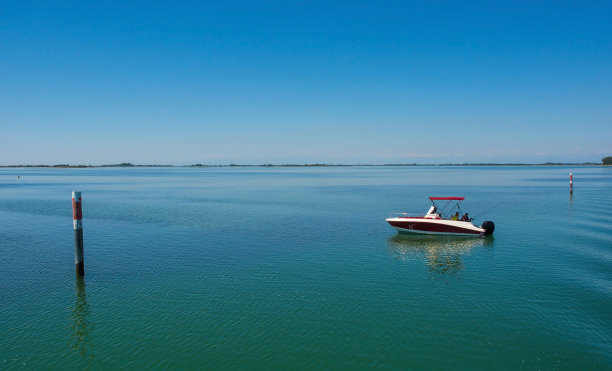 河道湿地水杉