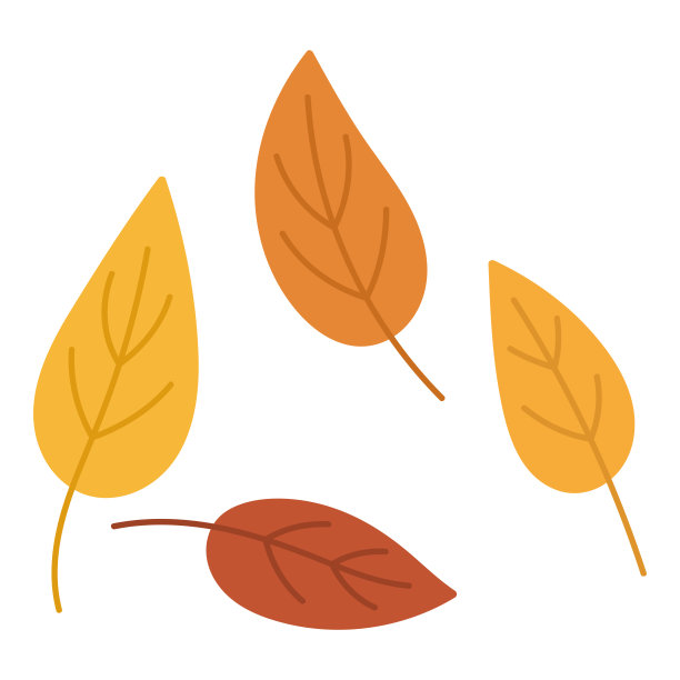 插图秋天枫叶与花卉贺卡-矢量