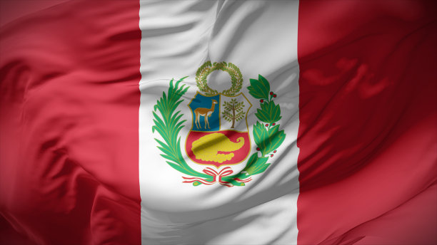 秘鲁国家队标志