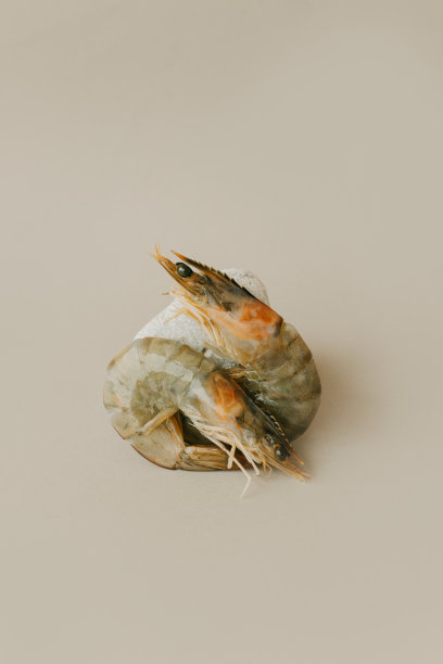 虾米石