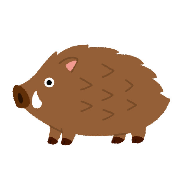 猪年插图