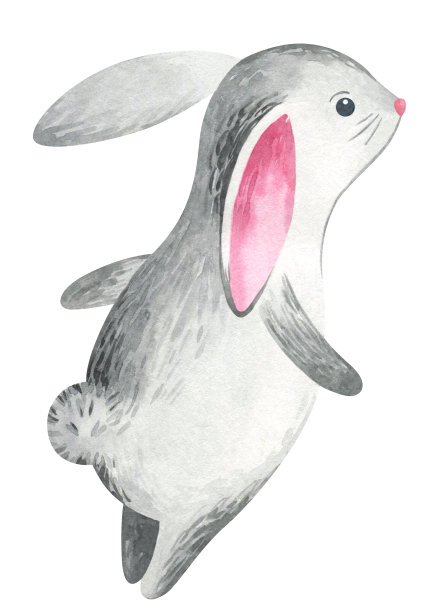 兔年兔兔贴纸