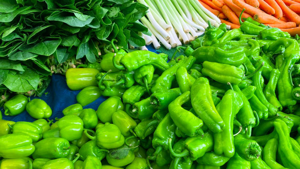 绿色生态农业水果蔬菜农产品动态