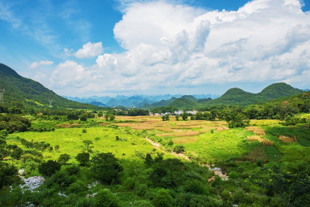 岭南风景