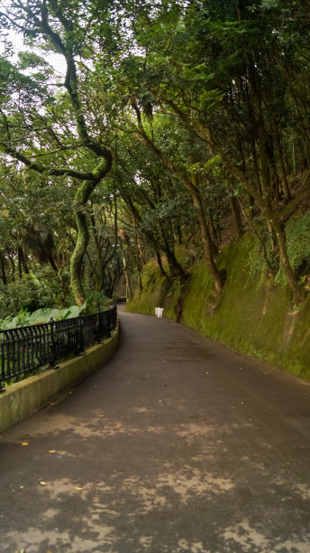 山路步道