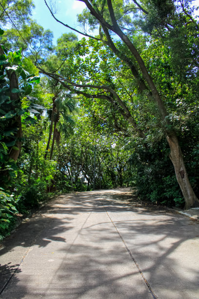 山路步道