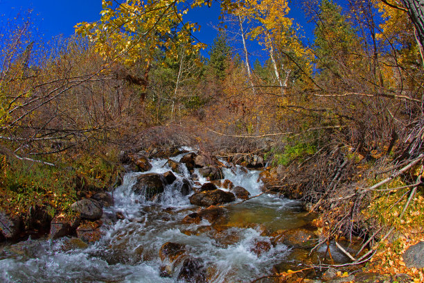 秋色流水生态环境