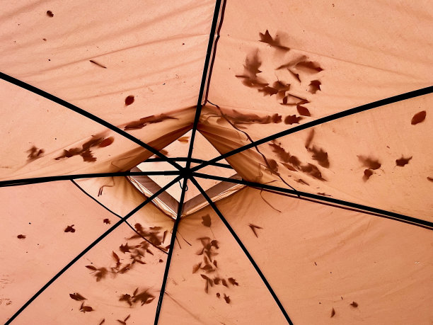 雨伞顶部特写