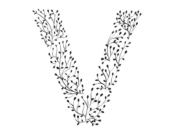 英文v字母logo