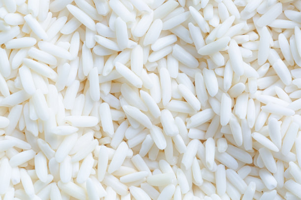 水稻香米食品糯米