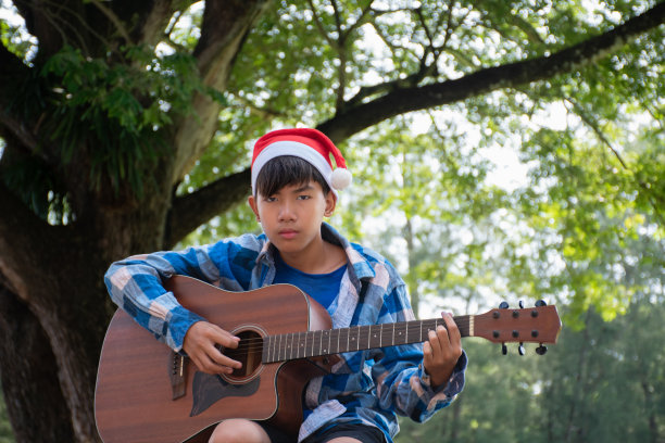 圣诞帽,吉他手,尤克里里琴