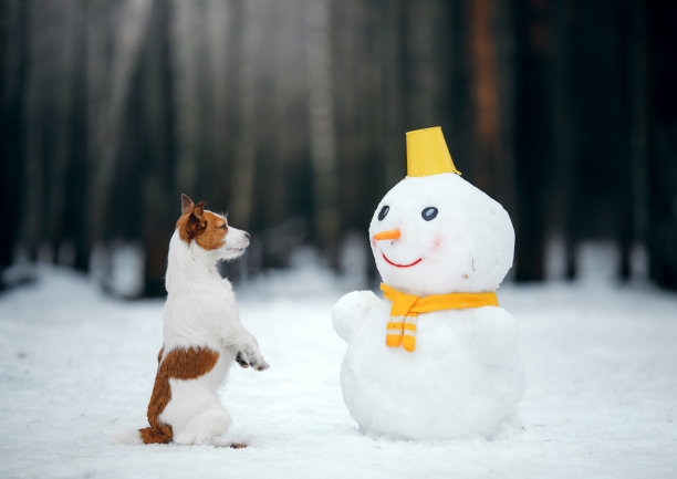 雪人小狗