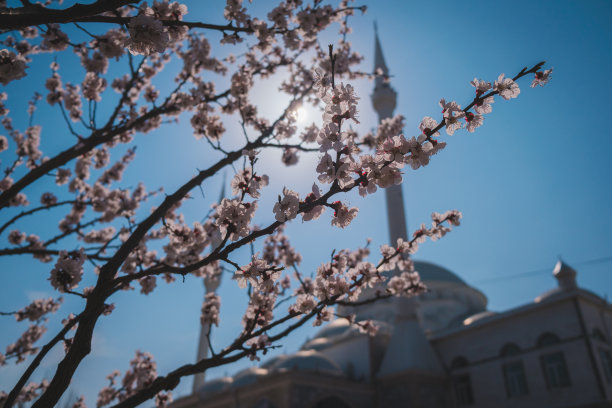 桃花岩