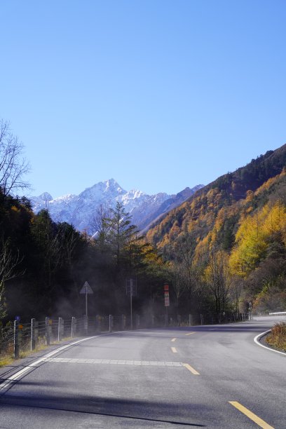 中华枫路