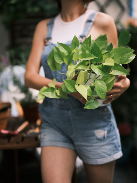 阳台植物架