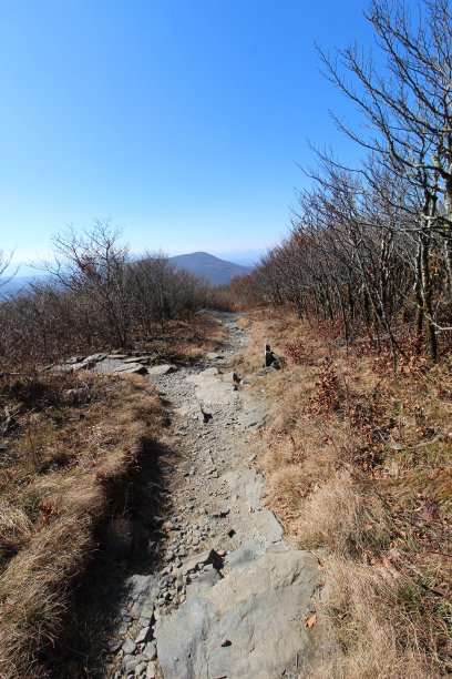 山林登山道