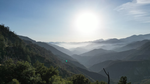 大漠苹果