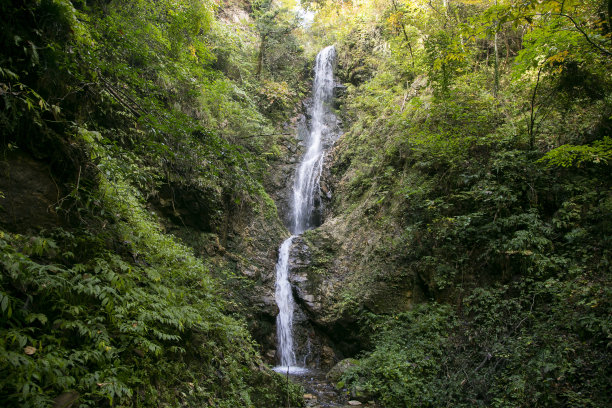 江茶道