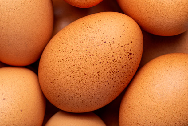 鸡蛋蛋黄蛋清食材背景海报素材