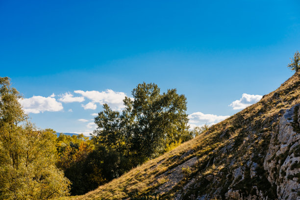 山林登山道