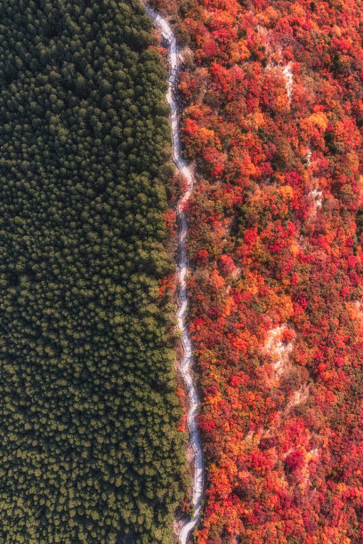 山东济南印象