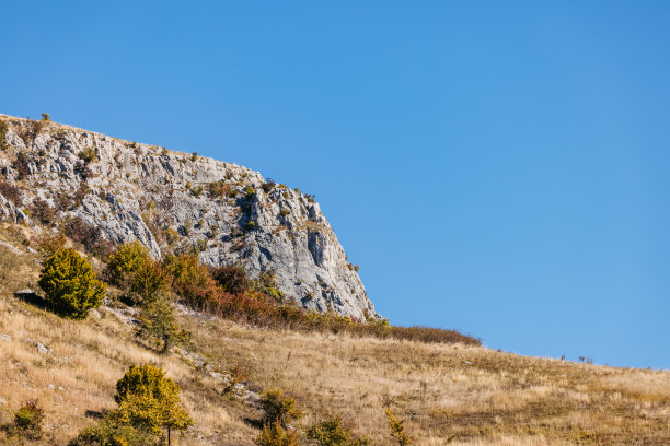 山林登山道