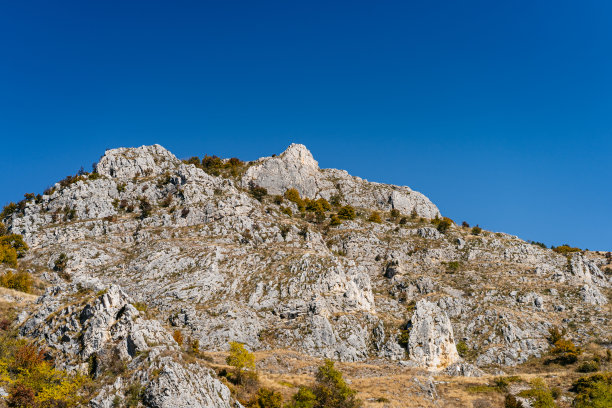 山林登山道