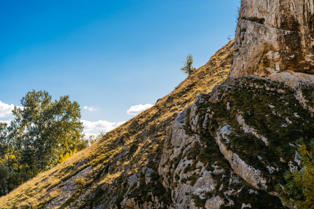 山林登山道