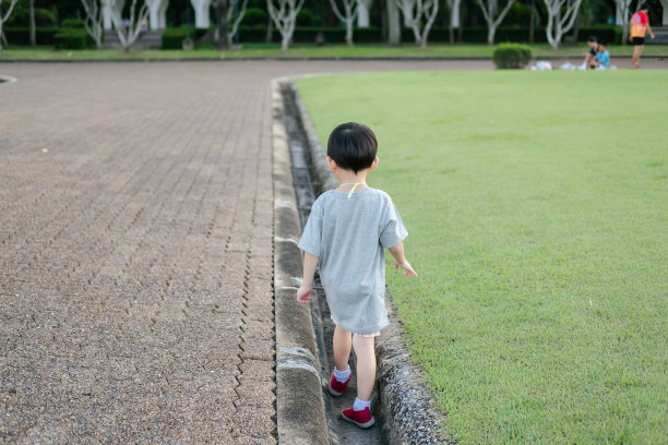 夏令营 丛林探险