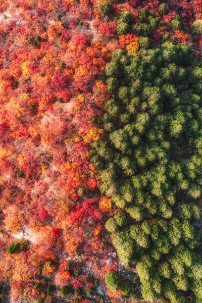 山东济南印象