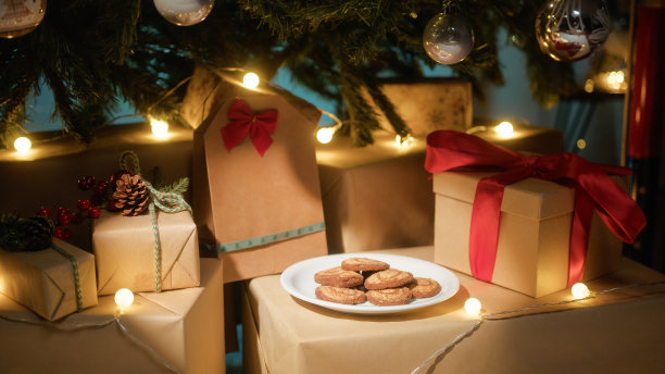 圣诞曲奇饼干盒 房屋盒