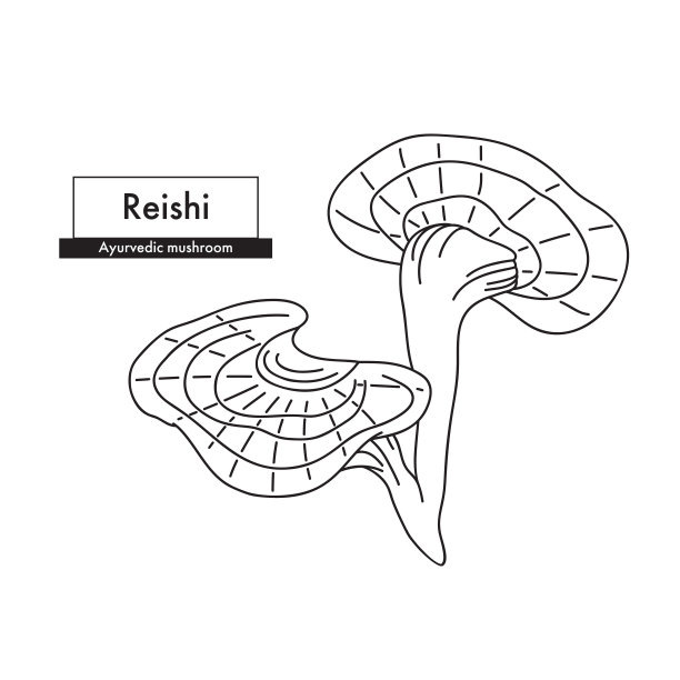 矢量灵芝灵芝向量