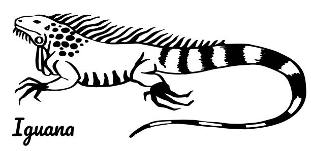 大尾巴logo