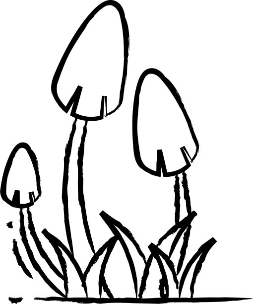 星光蘑菇