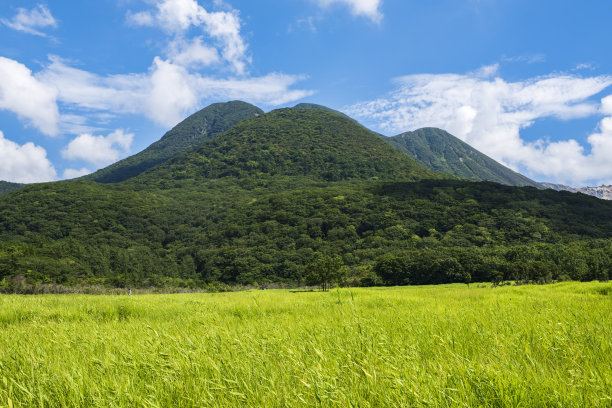 九重天