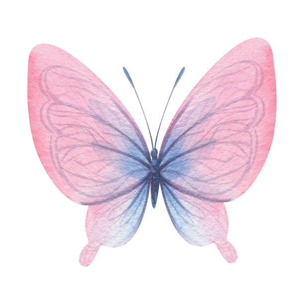 蝴蝶蓝色紫色透明翅膀