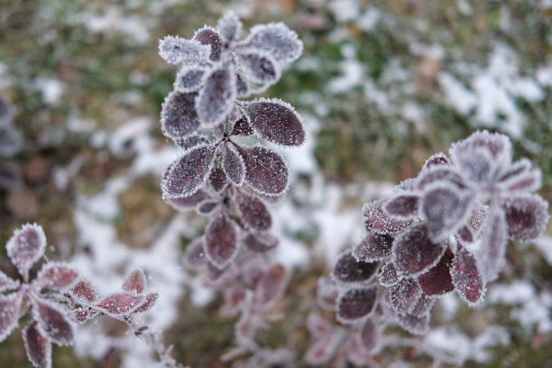 积雪冰冻结冰样式素材