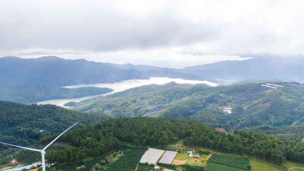 蓝天白云茶园风景图片