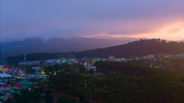 蓝天白云茶园景