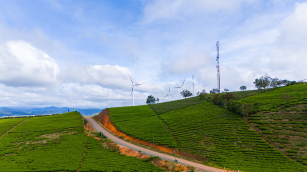 蓝天白云茶园景