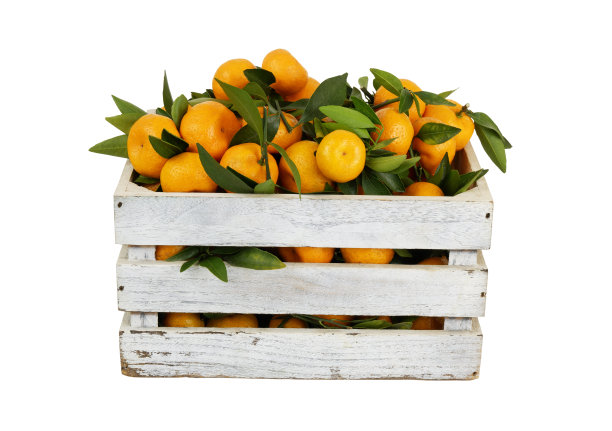 橘子彩箱