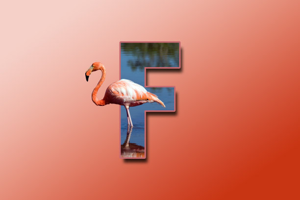 f英文logo