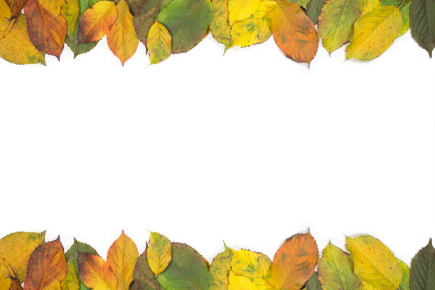 树叶质感秋季广告促销素材